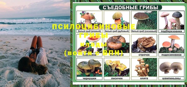 spice Армянск