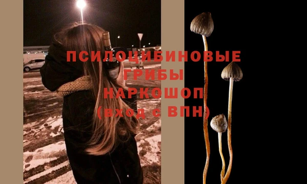 spice Армянск