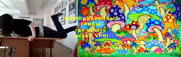 герыч Алзамай