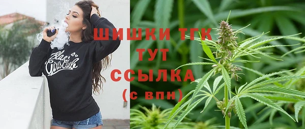 эйфоретик Аркадак