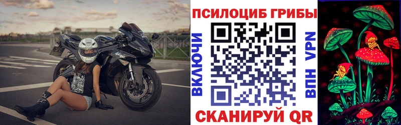 Галлюциногенные грибы Psilocybine cubensis Рыбинск